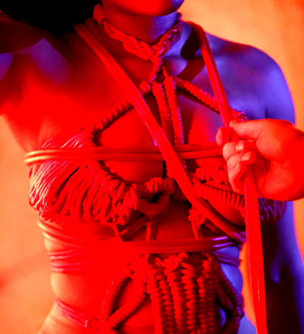 theestallion instagram image archive image