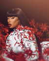 theestallion Altpins Profile Picture