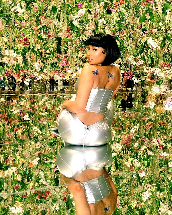 theestallion instagram image archive image