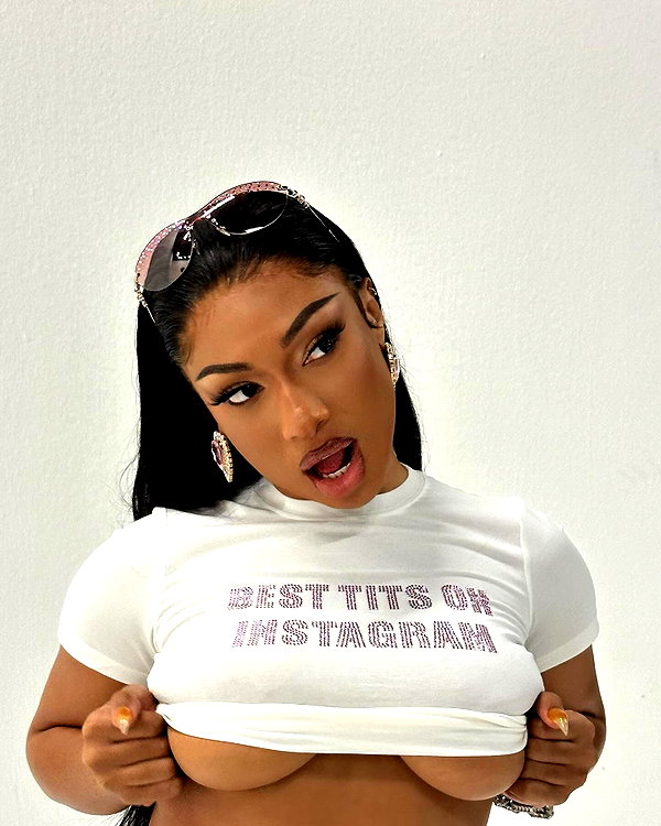 theestallion instagram image archive image