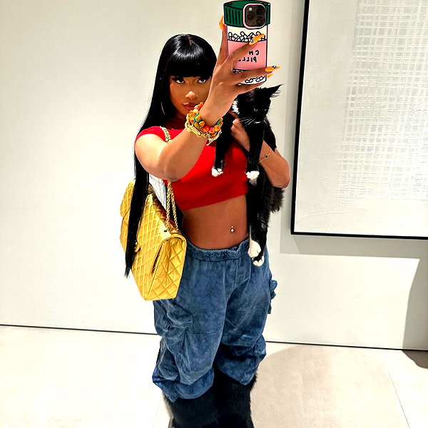 theestallion instagram image archive image