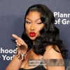 theestallion Altpins Profile Picture
