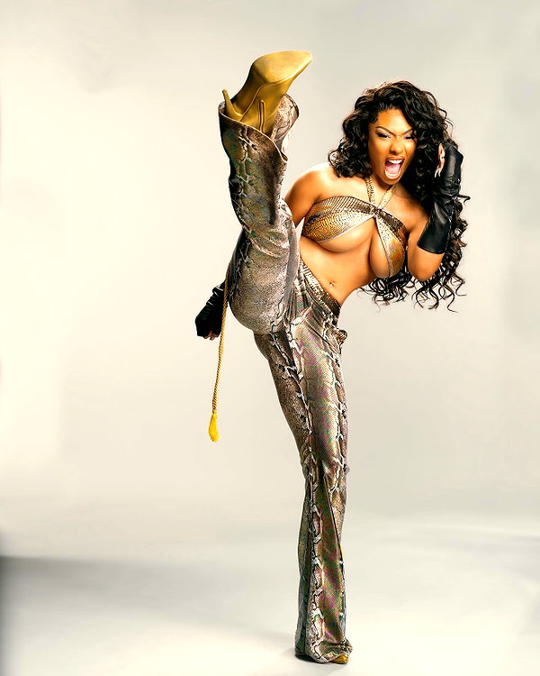 theestallion instagram image archive image
