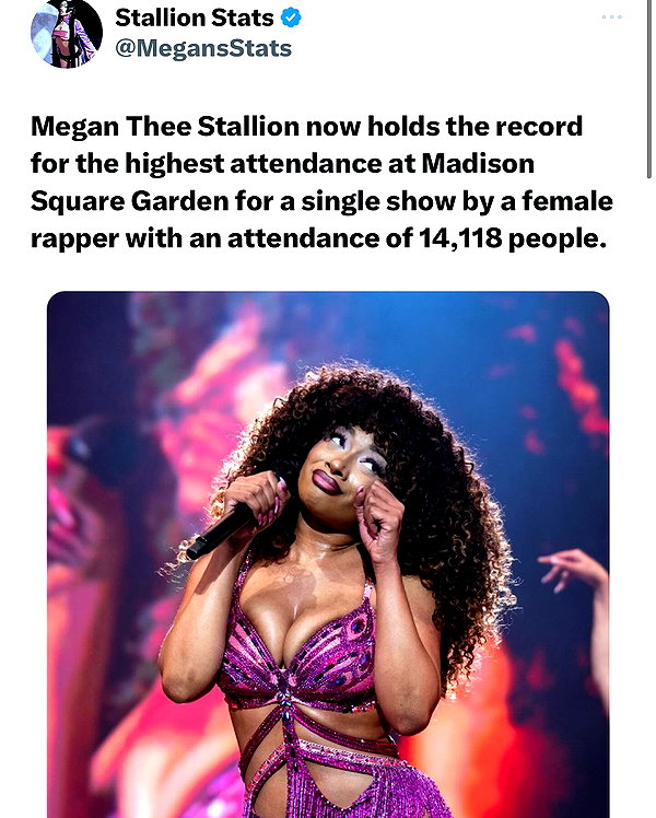 theestallion instagram image archive image