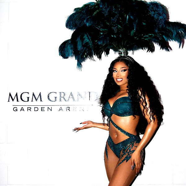 theestallion instagram image archive image