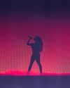 theestallion Altpins Profile Picture