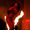 theestallion Altpins Profile Picture