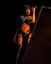theestallion Altpins Profile Picture