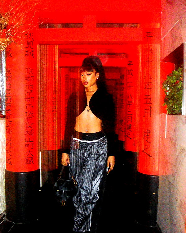 theestallion instagram image archive image