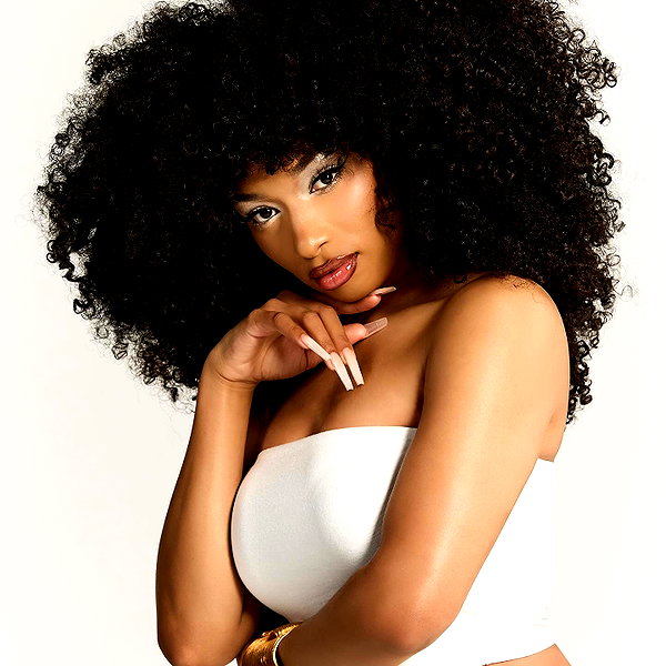 theestallion instagram image archive image
