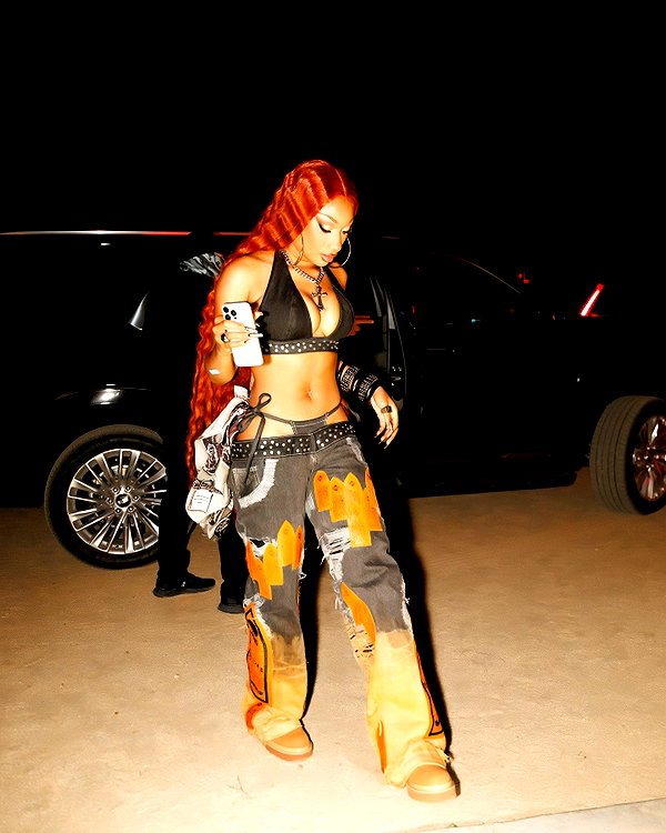 theestallion instagram image archive image