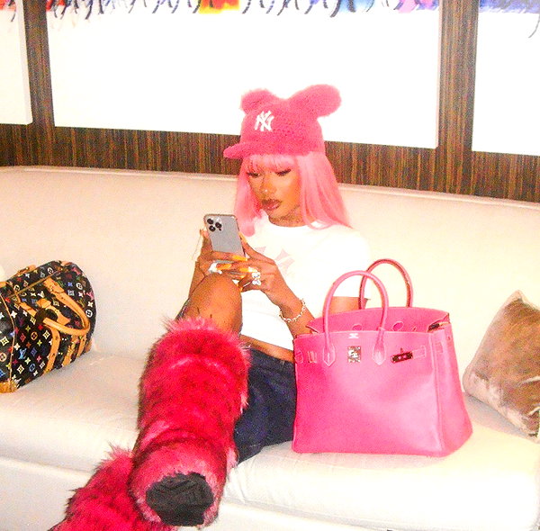 theestallion instagram image archive image