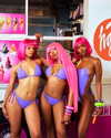 theestallion Altpins Profile Picture