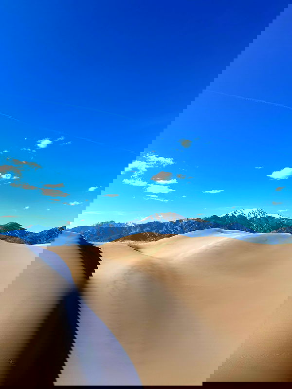 thelizzyporter thelizzyporter archive image