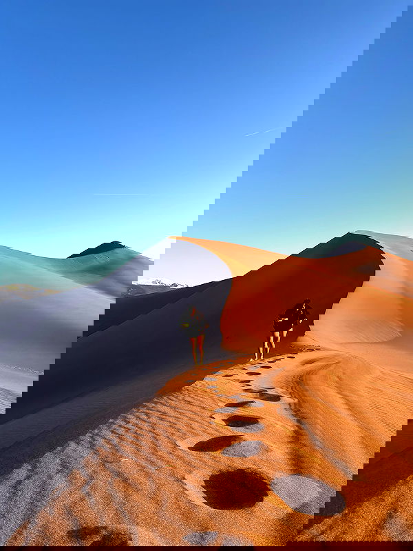 thelizzyporter thelizzyporter archive image