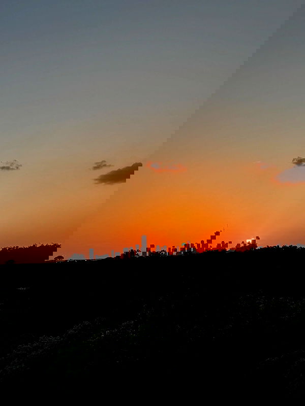 thelizzyporter thelizzyporter archive image