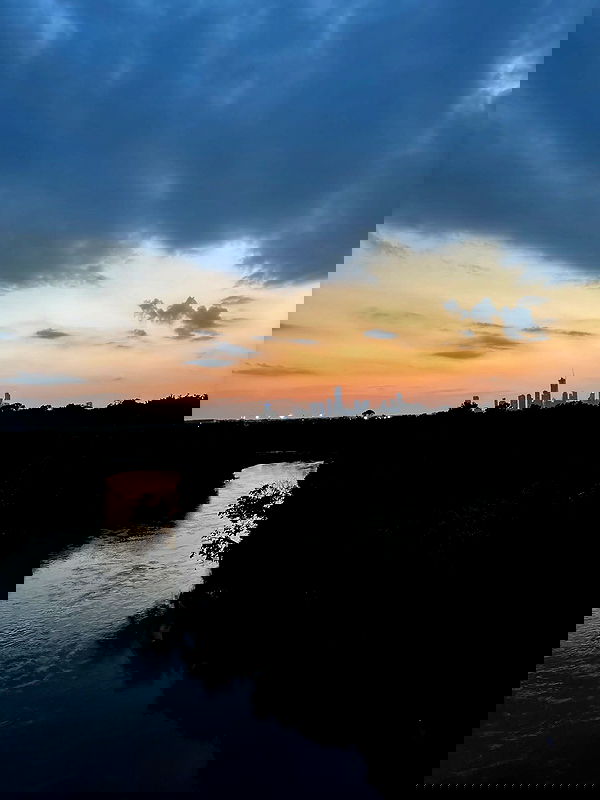 thelizzyporter thelizzyporter archive image