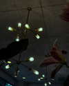 theonlygirlintheworld.xoxo Altpins Profile Picture