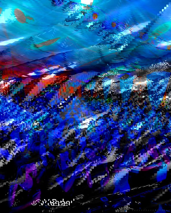 tiliaoficial tiliaoficial archive image