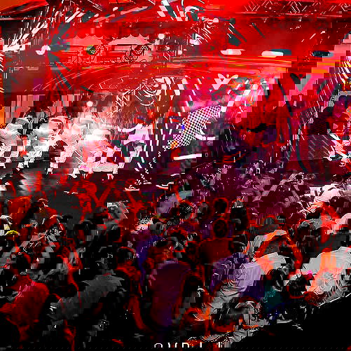 tiliaoficial tiliaoficial archive image