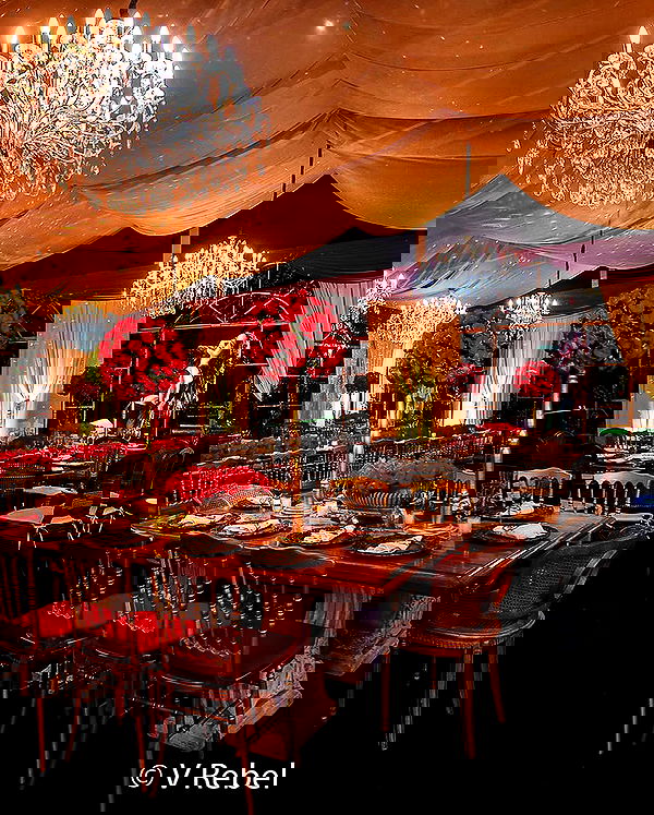 tiliaoficial tiliaoficial archive image