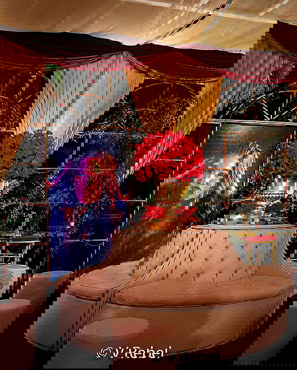 tiliaoficial tiliaoficial archive image