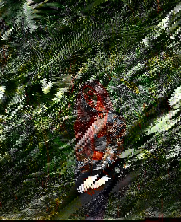 tiliaoficial tiliaoficial archive image