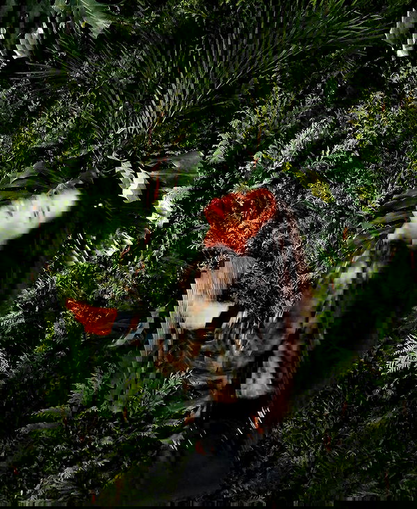 tiliaoficial tiliaoficial archive image