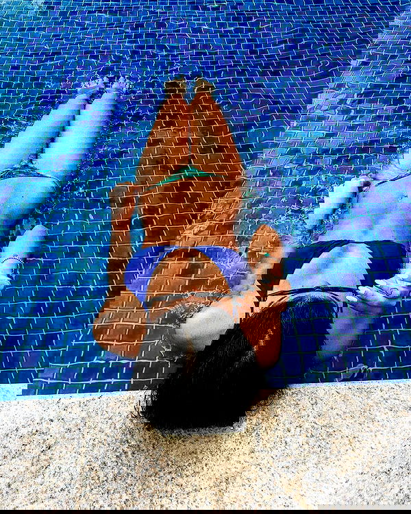 tiliaoficial tiliaoficial archive image