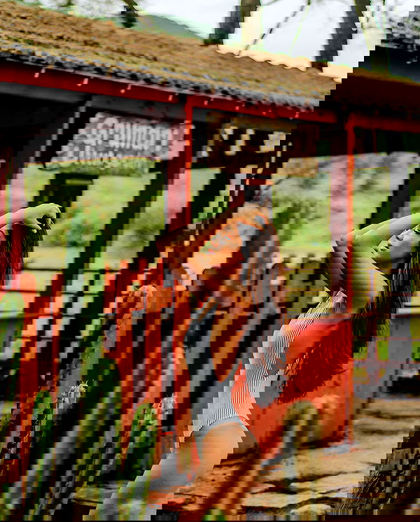 tiliaoficial tiliaoficial archive image