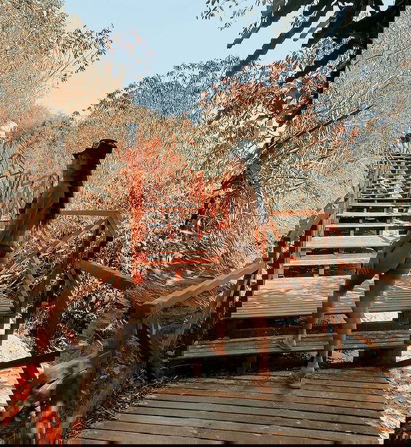 tiliaoficial tiliaoficial archive image