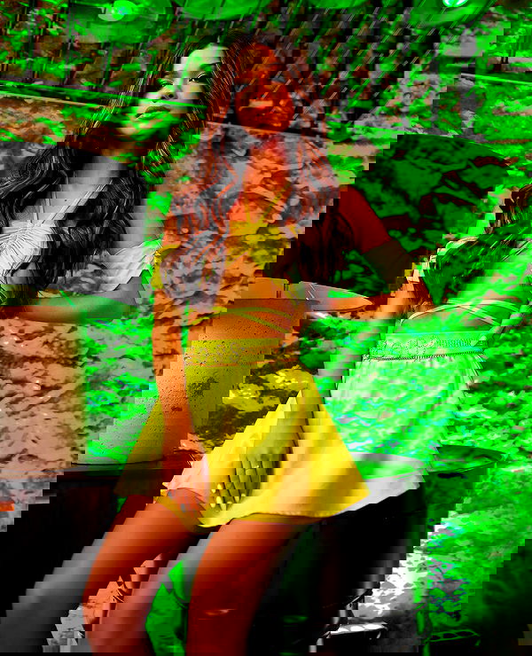 tiliaoficial tiliaoficial archive image