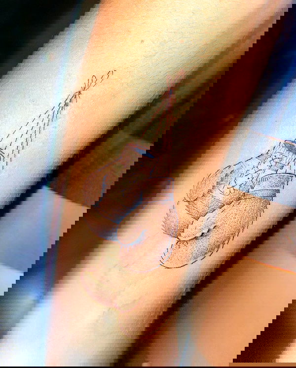 tiliaoficial tiliaoficial archive image