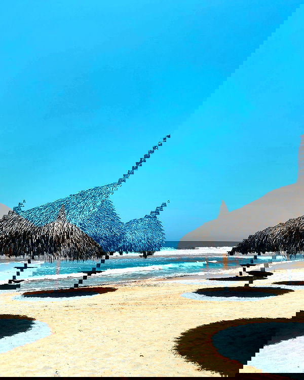 tiliaoficial tiliaoficial archive image