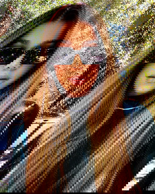 tiliaoficial tiliaoficial archive image