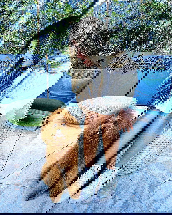 tiliaoficial tiliaoficial archive image