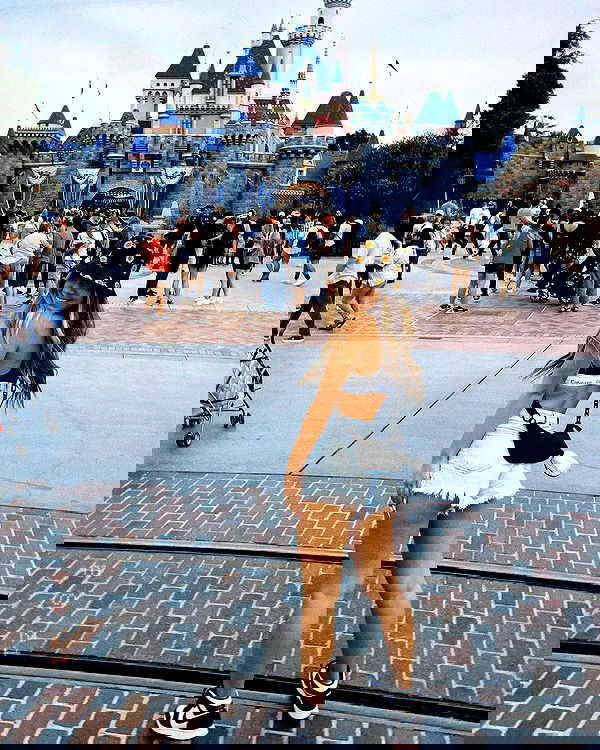 tiliaoficial tiliaoficial archive image