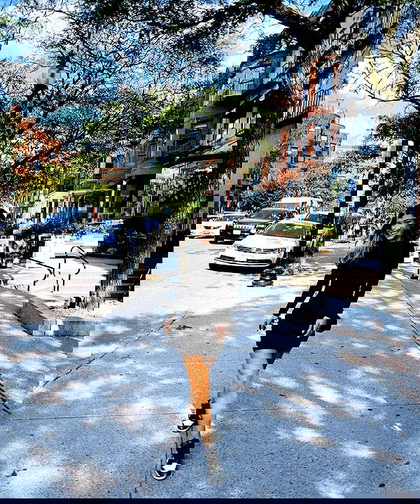 tiliaoficial tiliaoficial archive image