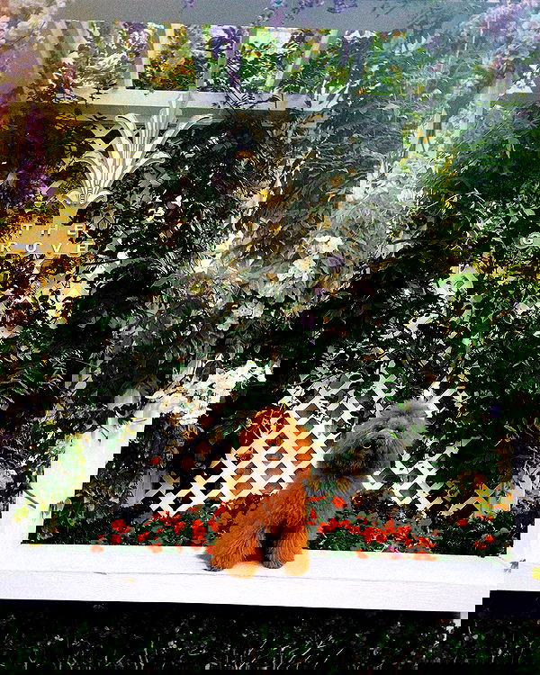 tiliaoficial tiliaoficial archive image