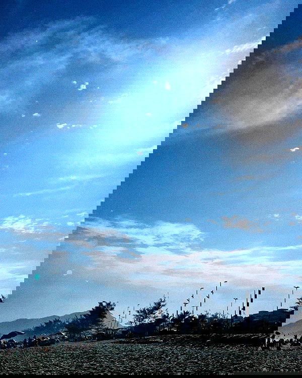 tiliaoficial tiliaoficial archive image