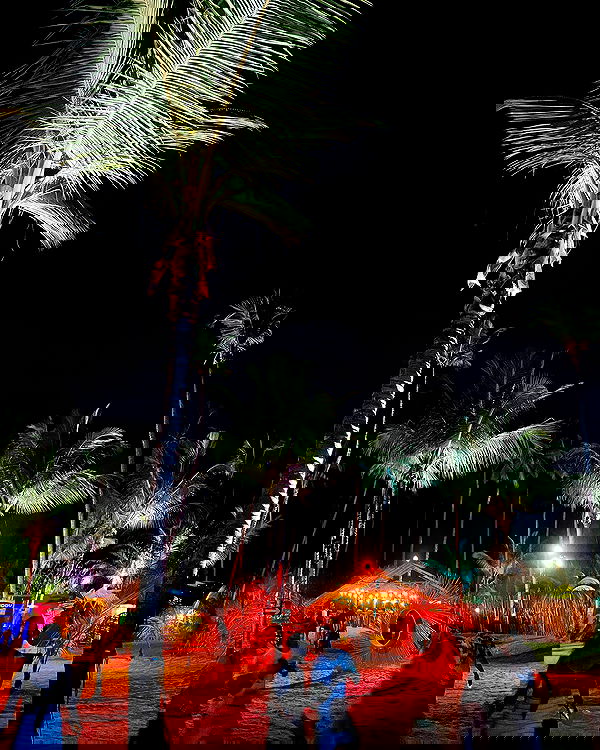 tiliaoficial tiliaoficial archive image