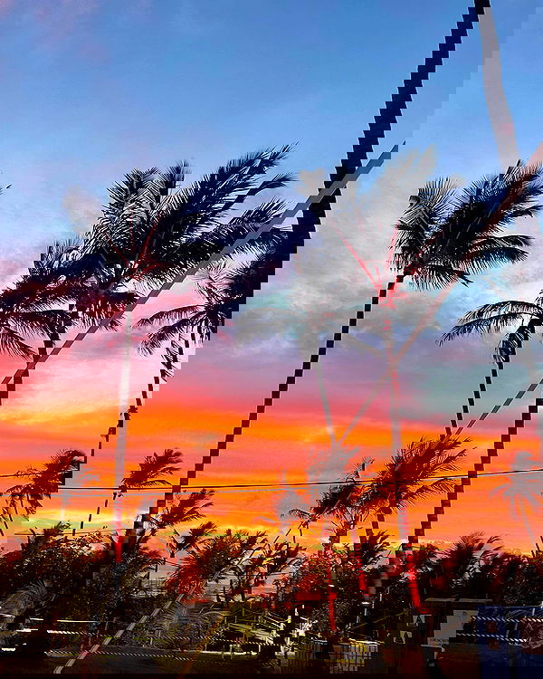 tiliaoficial tiliaoficial archive image