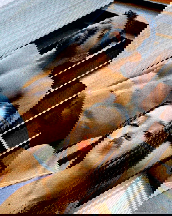 tiliaoficial tiliaoficial archive image