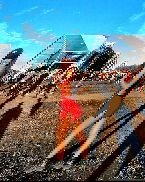 tiliaoficial tiliaoficial archive image