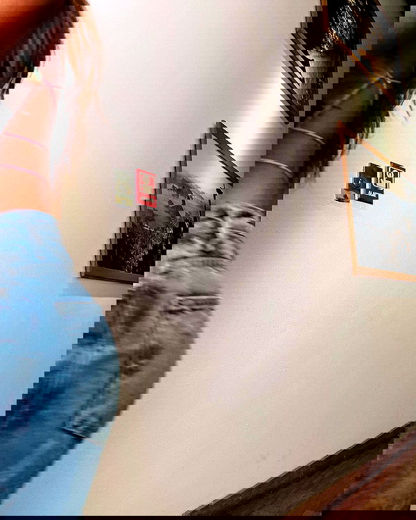 tiliaoficial tiliaoficial archive image