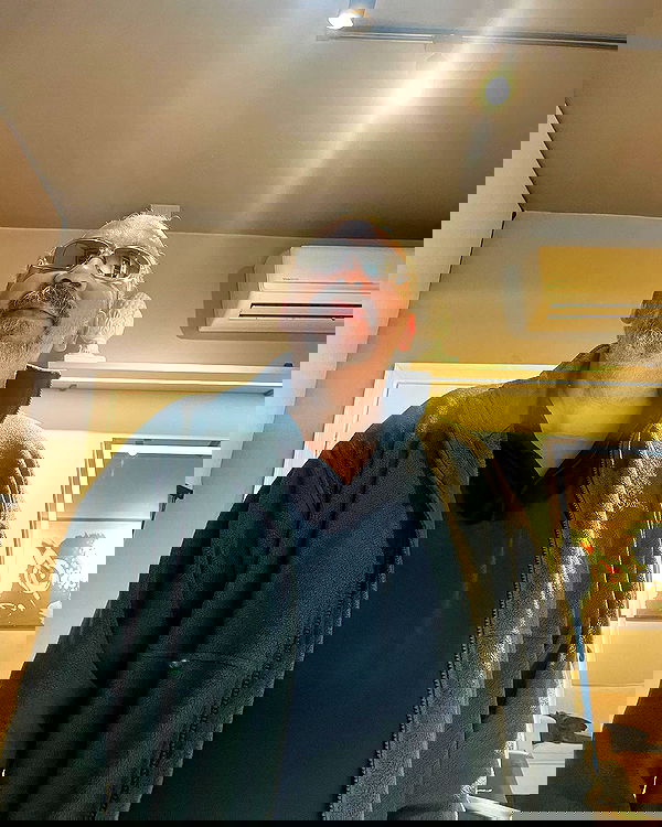 tiliaoficial tiliaoficial archive image