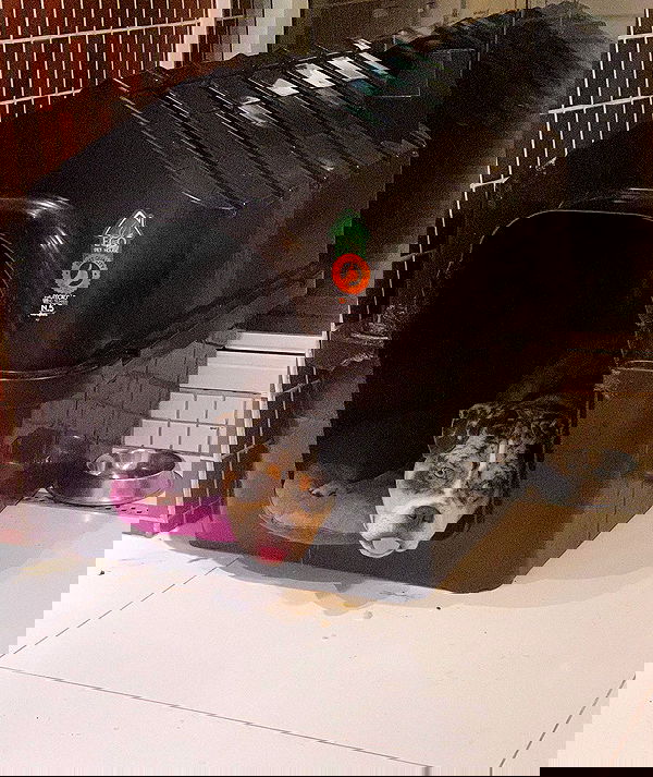 tiliaoficial tiliaoficial archive image