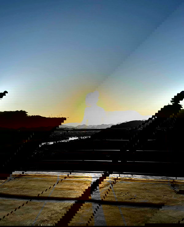 tiliaoficial tiliaoficial archive image