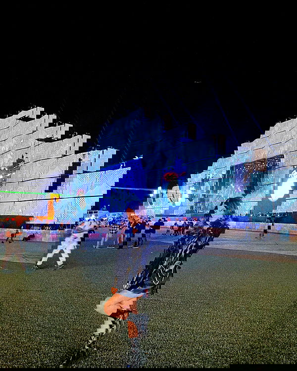 tiliaoficial tiliaoficial archive image