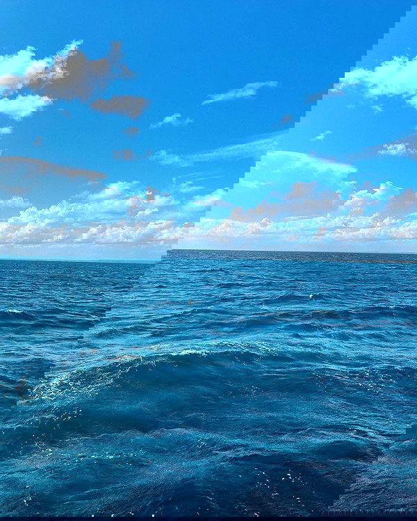 tiliaoficial tiliaoficial archive image